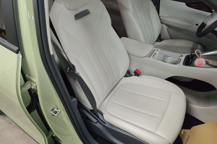 Used Geely Galaxy Geome 2025 310km Youth Edition Right Front Seat