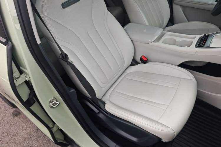 Used Geely Galaxy Geome 2025 310km Dream Edition Right Front Seat