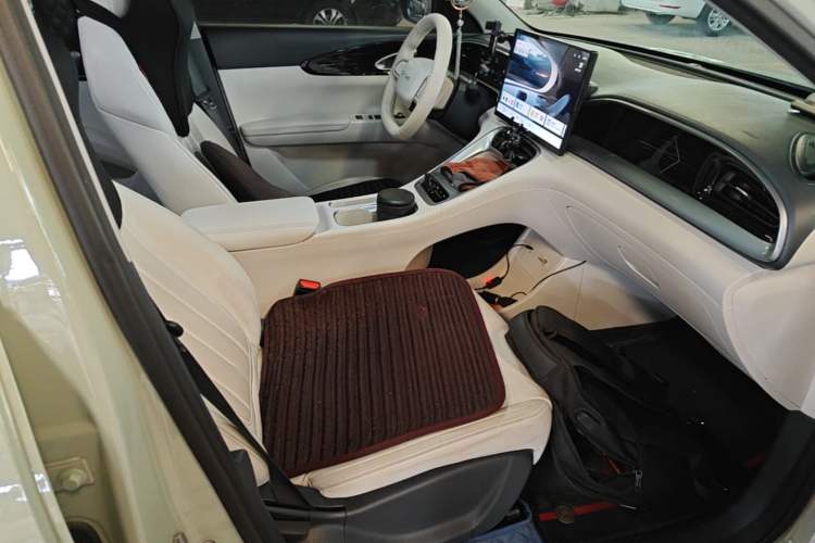 Used Geely Galaxy Geome 2025 UP 410km Exploration Edition Right Front Seat