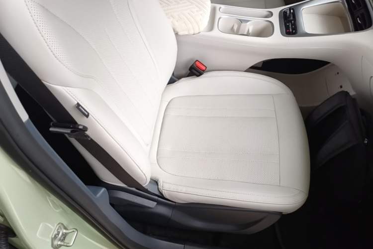 Used Geely Galaxy Geome 2025 310km Youth Edition Right Front Seat