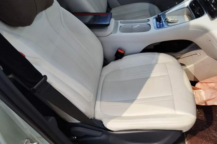 Used Geely Galaxy Geome 2025 310km Dream Edition Right Front Seat
