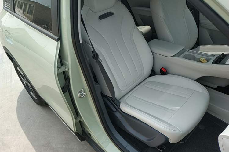 Used Geely Galaxy Geome 2025 310km Dream Edition Right Front Seat