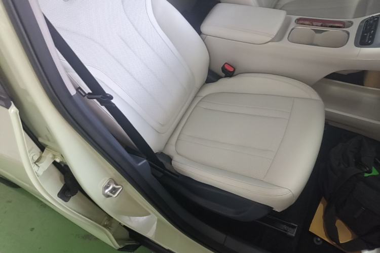 Used Geely Galaxy Geome 2025 310km Dream Edition Right Front Seat