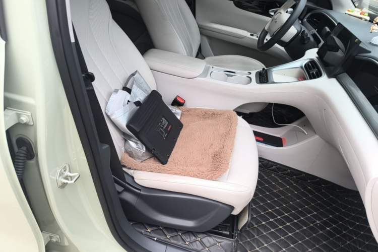 Used Geely Galaxy Geome 2025 310km Youth Edition Right Front Seat
