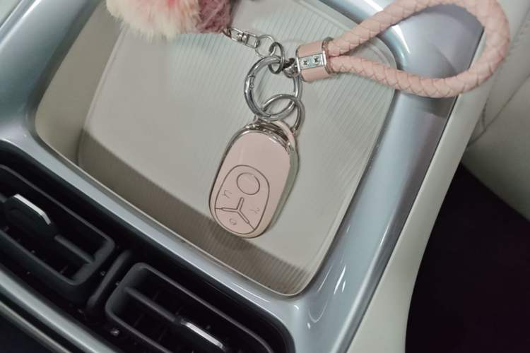Used Geely Galaxy Geome 2025 310km Youth Edition Vehicle Key