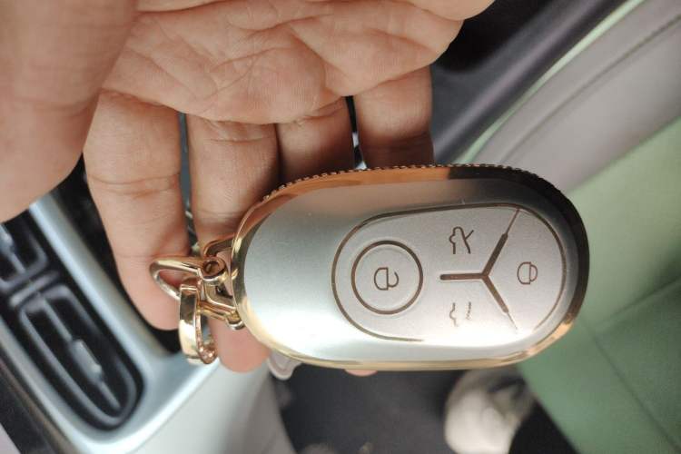 Used Geely Galaxy Geome 2025 410 km Free Version Vehicle Key