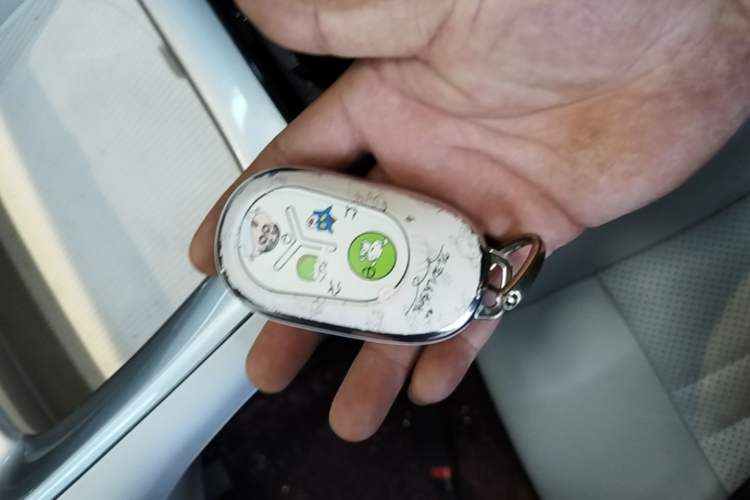 Used Geely Galaxy Geome 2025 310km Dream Edition Vehicle Key