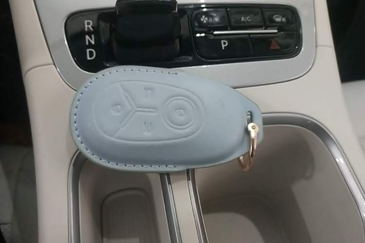 Used Geely Galaxy Geome 2025 310km Youth Edition Vehicle Key