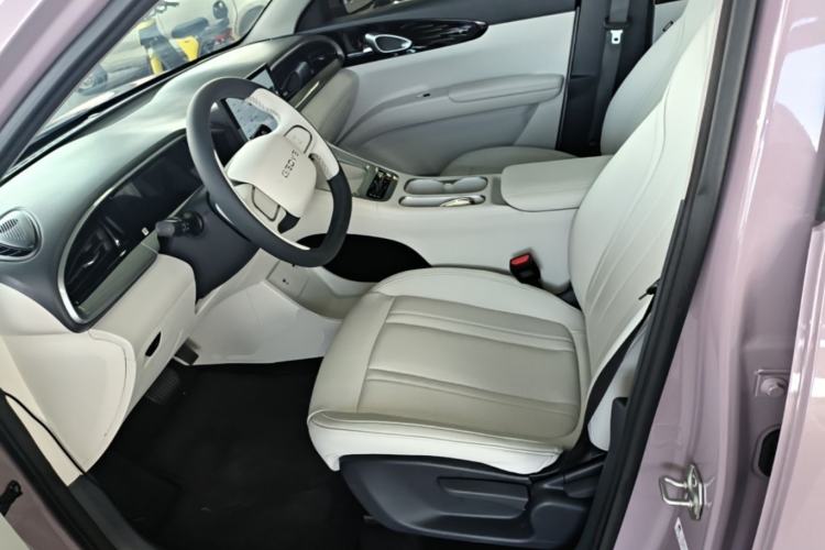 Used Geely Galaxy Geome 2025 310km Dream Edition Left Front Seat