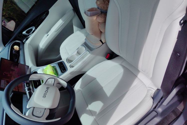 Used Geely Galaxy Geome 2025 310km Dream Edition Left Front Seat