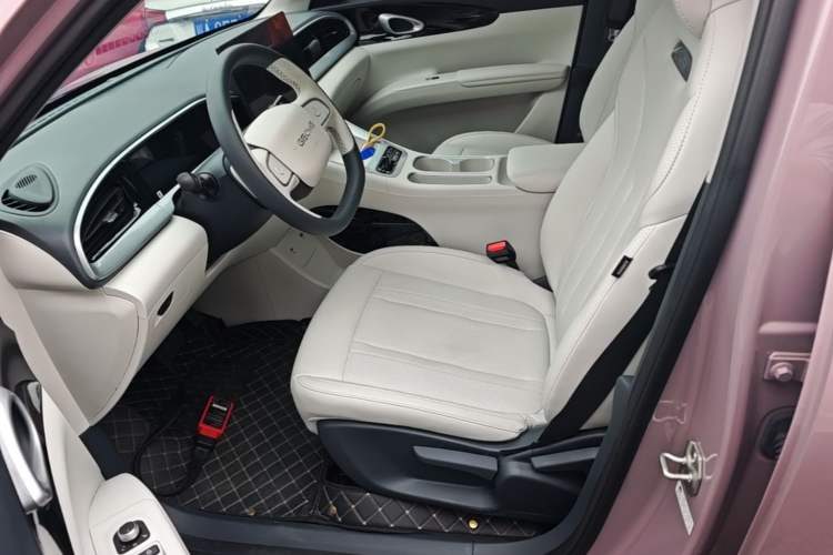 Used Geely Galaxy Geome 2025 310km Dream Edition Left Front Seat