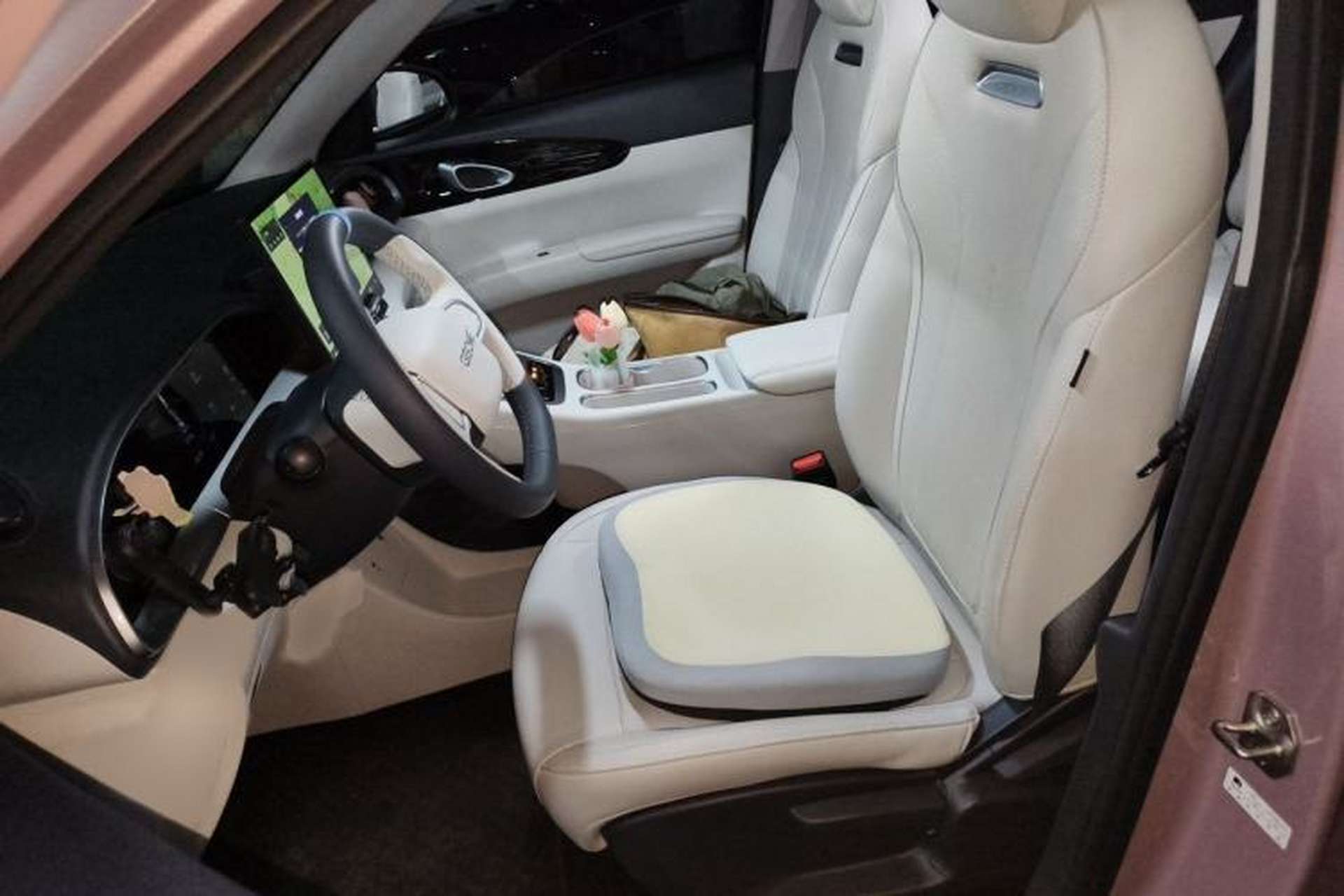 Used Geely Galaxy Geome 2025 310km Dream Edition Left Front Seat
