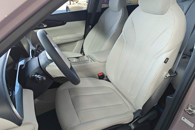 Used Geely Galaxy Geome 2025 310km Youth Edition Left Front Seat