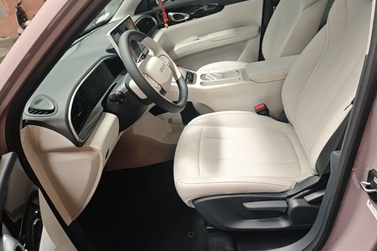 Used Geely Galaxy Geome 2025 310km Dream Edition Left Front Seat