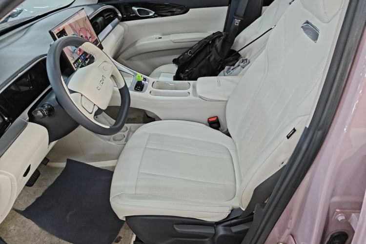 Used Geely Galaxy Geome 2025 310km Dream Edition Left Front Seat