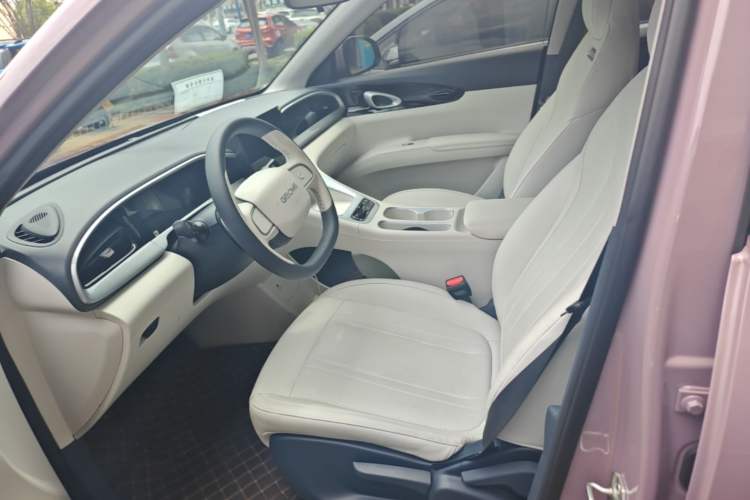 Used Geely Galaxy Geome 2025 310km Youth Edition Left Front Seat