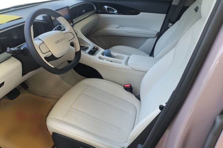 Used Geely Galaxy Geome 2025 310km Youth Edition Left Front Seat