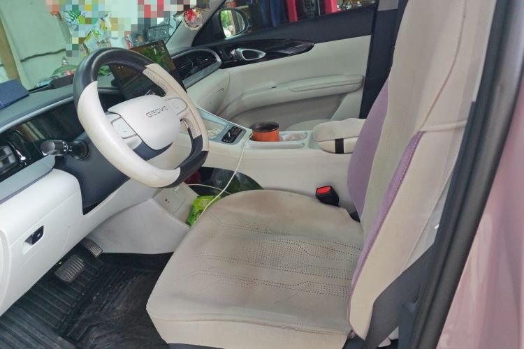 Used Geely Galaxy Geome 2025 310km Dream Edition Left Front Seat