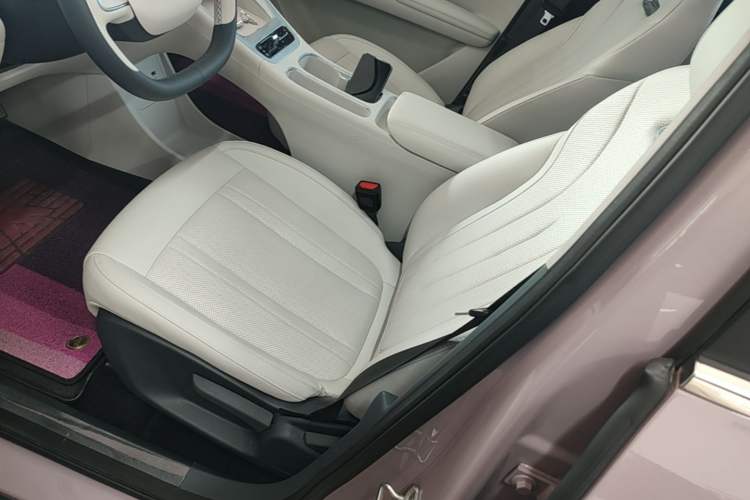 Used Geely Galaxy Geome 2025 310km Dream Edition Left Front Seat