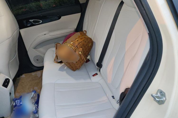Used Geely Galaxy Geome 2025 310km Youth Edition Left Rear Seat