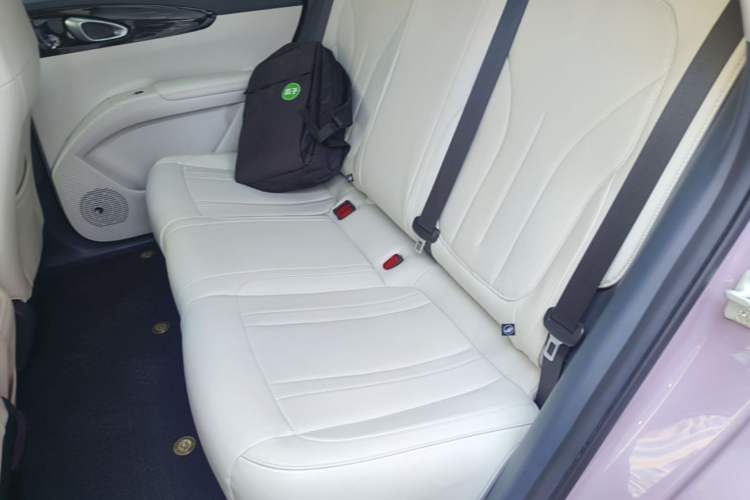 Used Geely Galaxy Geome 2025 310km Youth Edition Left Rear Seat
