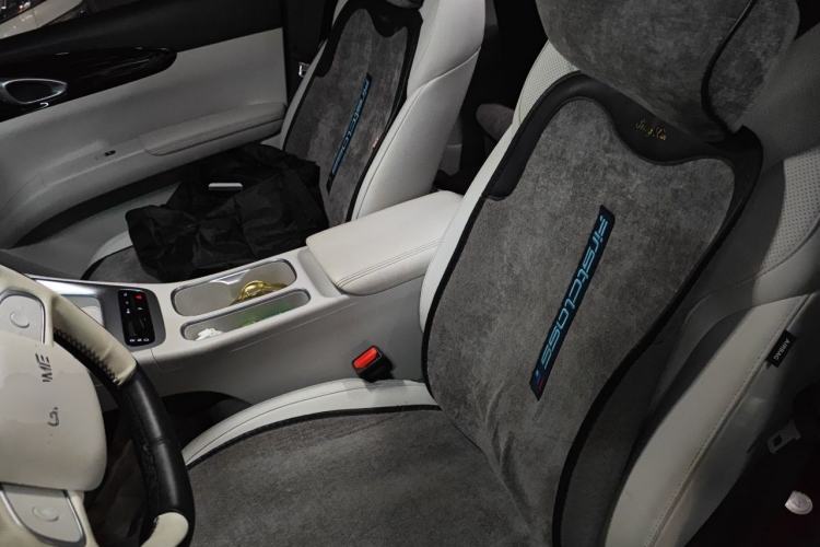 Used Geely Galaxy Geome 2025 310km Dream Edition Left Front Seat