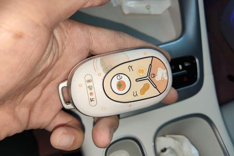 Used Geely Galaxy Geome 2025 310km Dream Edition Vehicle Key