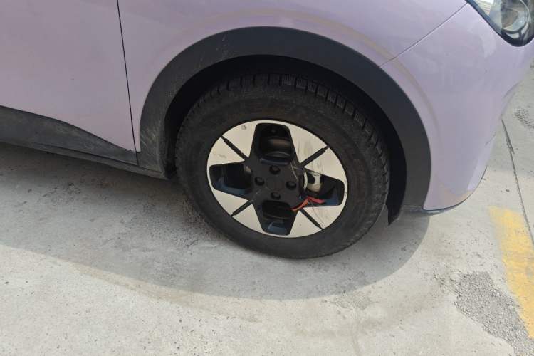 Used Geely Galaxy Geome 2025 410 km Free Version Exterior 1
