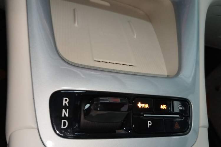 Used Geely Galaxy Geome 2025 410 km Free Version Gear Lever