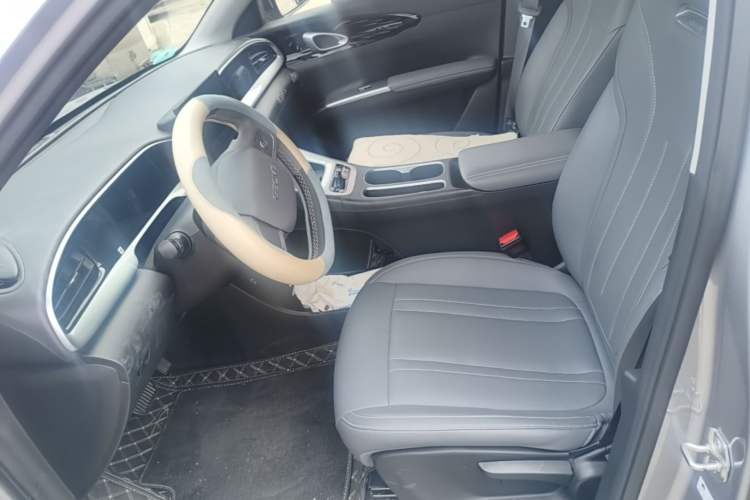 Used Geely Galaxy Geome 2025 310km Youth Edition Left Front Seat