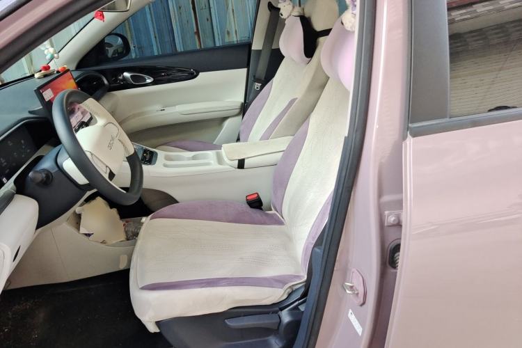 Used Geely Galaxy Geome 2025 310km Dream Edition Left Front Seat