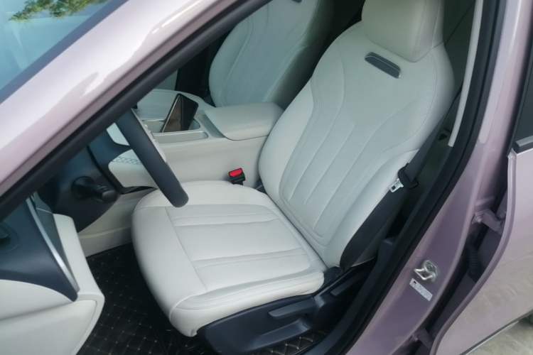 Used Geely Galaxy Geome 2025 310km Dream Edition Left Front Seat