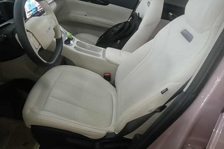 Used Geely Galaxy Geome 2025 310km Dream Edition Left Front Seat