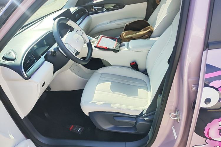 Used Geely Galaxy Geome 2025 310km Dream Edition Left Front Seat