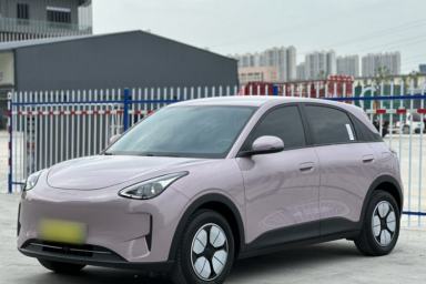 Used Geely Galaxy Geome 2025 310km Youth Edition