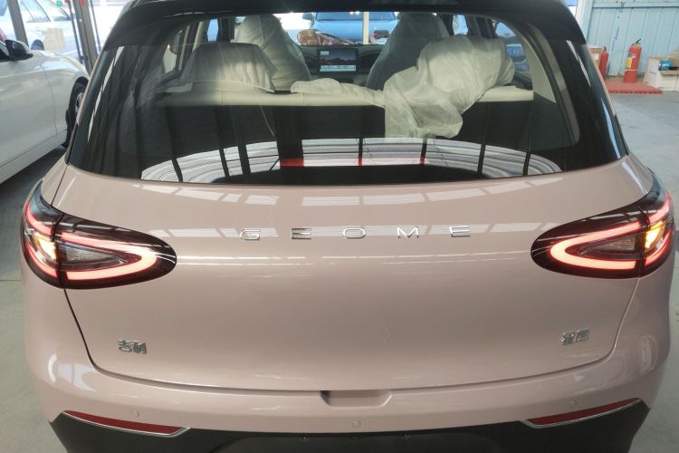 Used Geely Galaxy Geome 2025 310km Youth Edition Rear