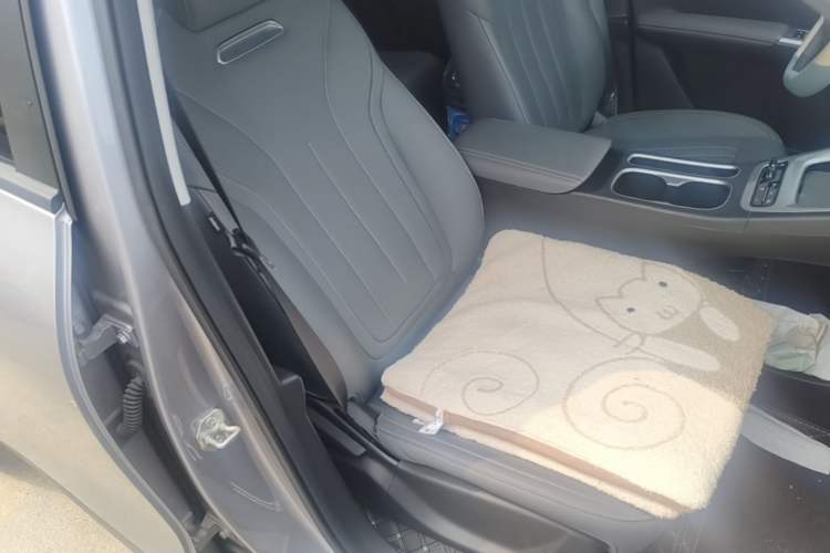 Used Geely Galaxy Geome 2025 310km Youth Edition Right Front Seat