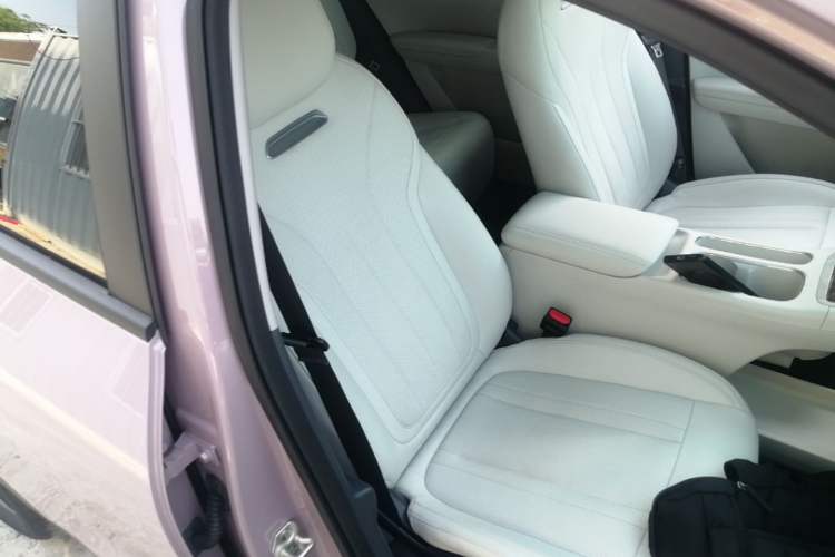Used Geely Galaxy Geome 2025 310km Dream Edition Right Front Seat