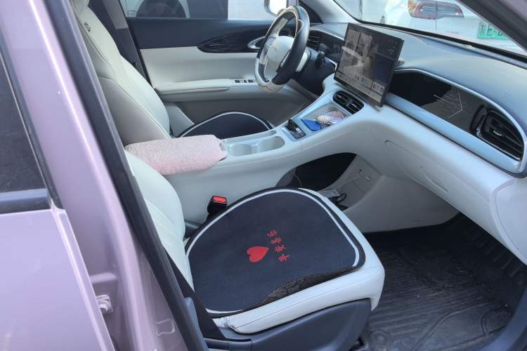 Used Geely Galaxy Geome 2025 310km Dream Edition Right Front Seat
