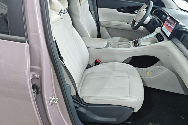 Used Geely Galaxy Geome 2025 310km Dream Edition Right Front Seat