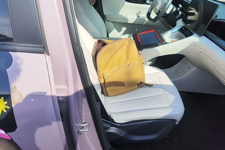 Used Geely Galaxy Geome 2025 310km Dream Edition Right Front Seat