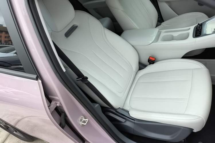 Used Geely Galaxy Geome 2025 310km Dream Edition Right Front Seat