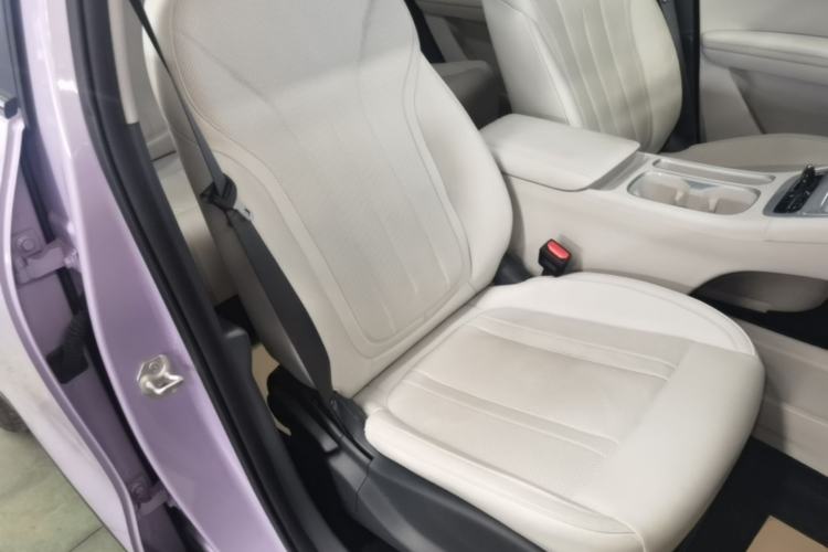 Used Geely Galaxy Geome 2025 UP 410km Exploration Edition Right Front Seat