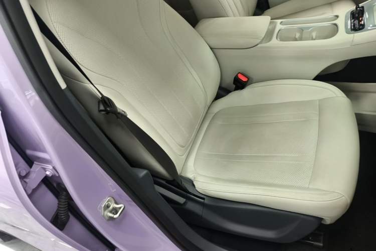 Used Geely Galaxy Geome 2025 UP 410km Exploration+ Edition Right Front Seat