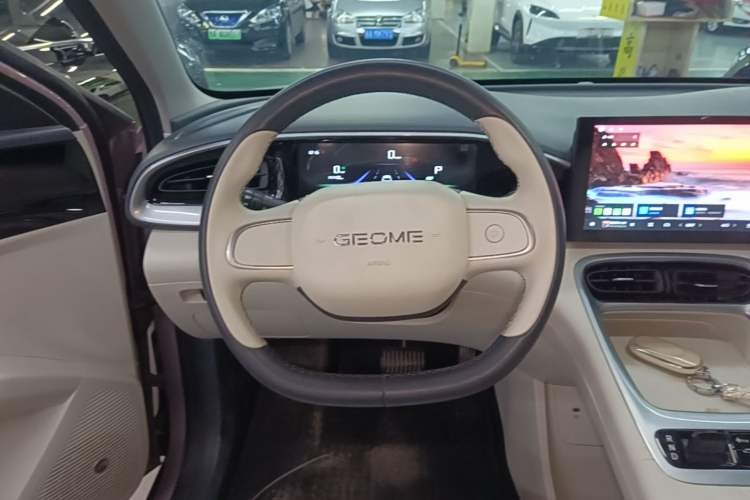 Used Geely Galaxy Geome 2025 310km Youth Edition Steering Wheel
