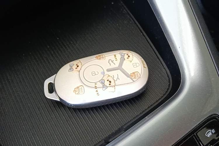 Used Geely Galaxy Geome 2025 310km Dream Edition Vehicle Key