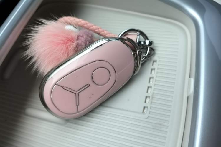 Used Geely Galaxy Geome 2025 310km Dream Edition Vehicle Key