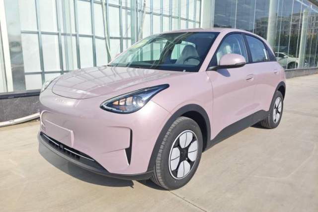 Used Geely Galaxy Geome 2025 310km Youth Edition