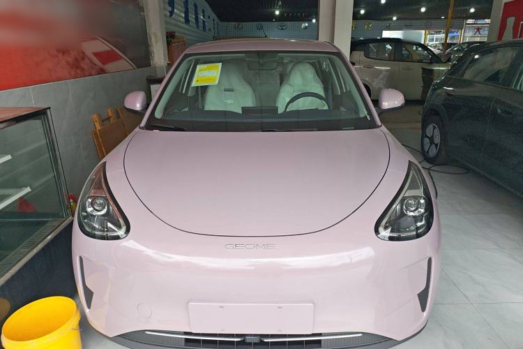 Used Geely Galaxy Geome 2025 310km Youth Edition Exterior 1