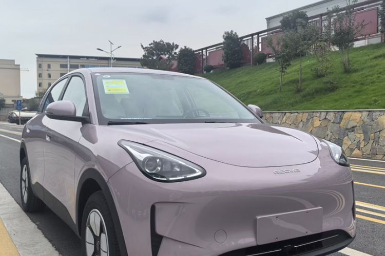 Used Geely Galaxy Geome 2025 310km Youth Edition Exterior 1